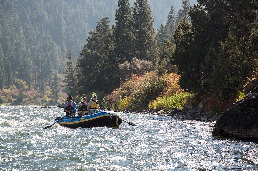 Whitewater Rafting in the Wilderness