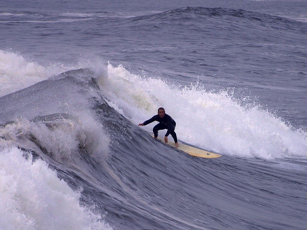 Learn How to Surf - A surfer in a wet suit rides a wave.